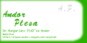 andor plesa business card